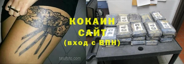 гидра Алексеевка