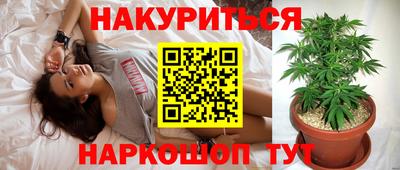 apvp Моздок
