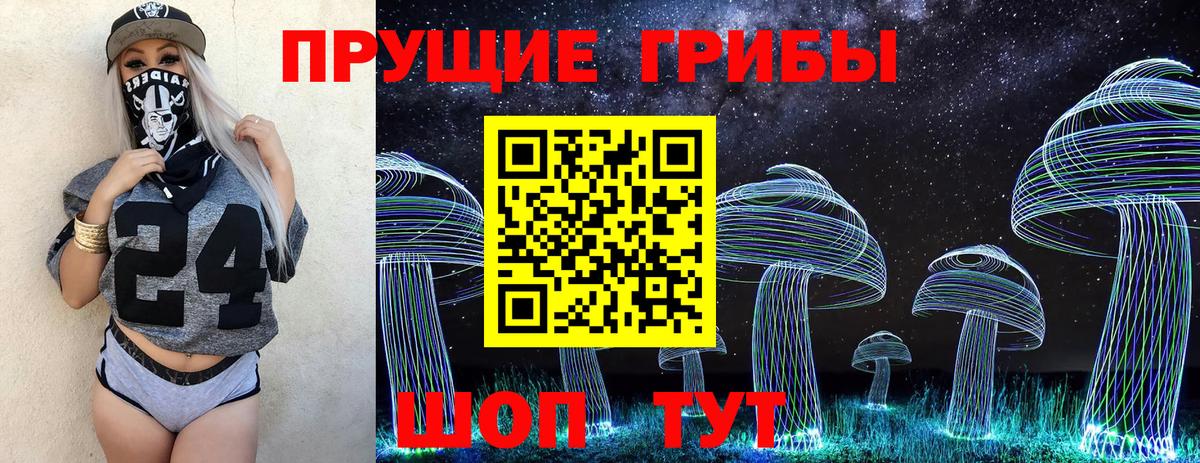 Псилоцибиновые грибы прущие грибы  Вход с VPN  Удомля  Псилоцибиновые грибы мицелий 